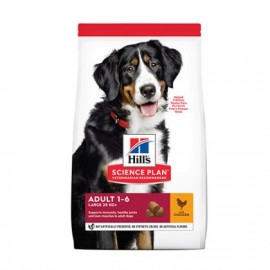 Hills Canine Adult RG Pollo-18 Kg 
