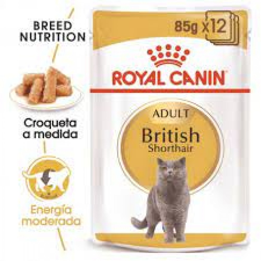 Feline Breed British Shorthair 85 gr 