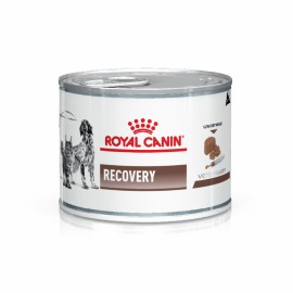 Royal Diet Humedo Recovery 195 gr